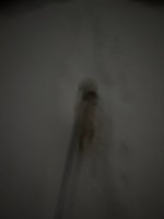 D9447B30-7A8C-459F-BE0A-AFEF7269151C.jpeg