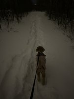 05D62637-4557-4DF4-A76C-A6DB405987EC.jpeg