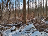 IMG_20220112_132832768_HDR.jpg