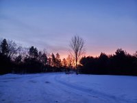 20220111_071552.jpg