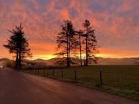 6AF99B36-25DF-4314-B0C8-0F789E4046DD.jpeg