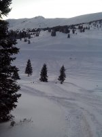 IMG_20201229_164746.jpg