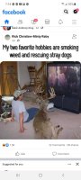 saving stray dogs.jpg