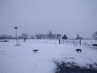 IMG_20220115_163424.jpg