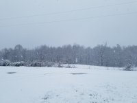 20220116_130047.jpg