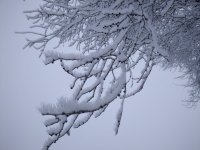 IMG_20220116_084746.jpg
