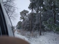 IMG_20220116_090830.jpg