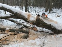 20220116_134841.jpg
