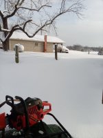 IMG_20220117_092918.jpg