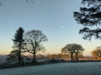 IMG_20220121_082647_HDR.jpg