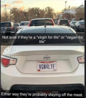 Vegan.PNG