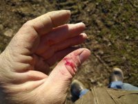 IMG_20220122_153602.jpg
