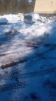 20220123_124137.jpg