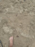 IMG_20220124_133758.jpg