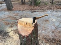 IMG_0426.jpg