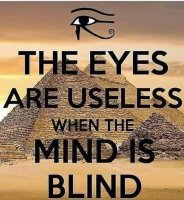 The Eyes.jpg