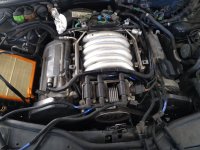 IMG_20220130_094356.jpg