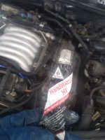 IMG_20220130_110553.jpg
