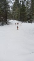 20220130_131806.jpg