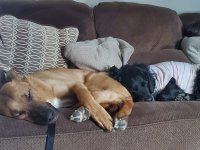 20220129_163711.jpg