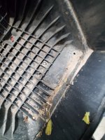 20220131_160949.jpg