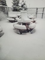 20220202_121235.jpg