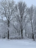 319B37D3-06BC-4A23-BA8D-E180D72A7ACB.jpeg