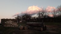 IMG_20220130_165441.jpg