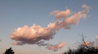 IMG_20220130_164828.jpg