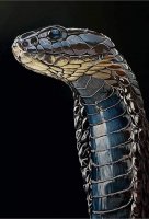 snake.jpg