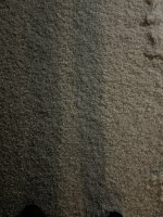 2FC3A745-0820-44EA-A60C-09355383A51F.jpeg