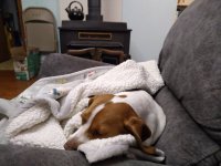 IMG_20220120_071338.jpg