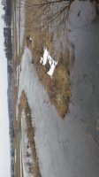 20210307_124609.jpg