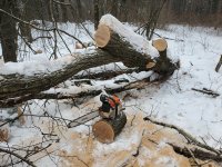 20220206_100536.jpg