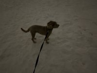 E720B79E-9C90-485F-8C31-0234EF12D0E5.jpeg