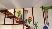 IMG_20220212_160348.jpg