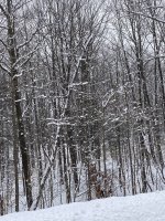 9585A4E0-3681-4A62-8C6B-DA935D0C2401.jpeg