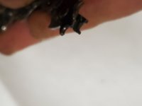 20220215_183303.jpg
