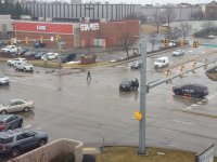 IMG_20220217_115120664.jpg