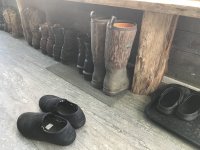 IMG_5912.jpg