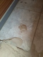 IMG_20220224_132617.jpg