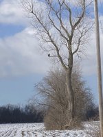 9E58E412-748D-494C-AD23-CD6803FCE540.jpeg