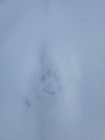 20220226_083157.jpg