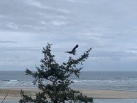 72AE880F-3637-4F0C-824B-94476F594696.jpeg