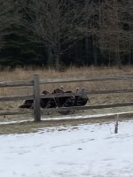 83E766FC-B5D4-42C0-9C5F-99254772C583.jpeg