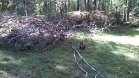 IMG_20160911_143944_466.jpg