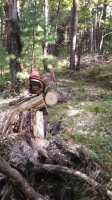 IMG_20160911_155109_261.jpg