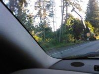 valorbe files ,logging 112 042.jpg