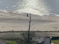 61426AAF-D1C9-42E0-B1AC-64A6325AF8F6.jpeg