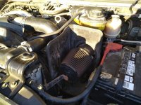 IMG_20220313_082750.jpg